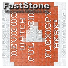 How Long Does It Take to Instal Flexispy via Web Browser